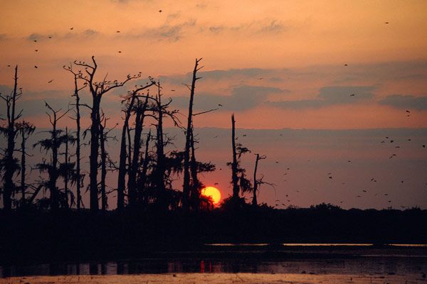 Fotoğraf Greg MacGillivray