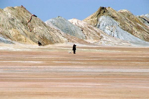 Fotoğraf Michel Houellebecq