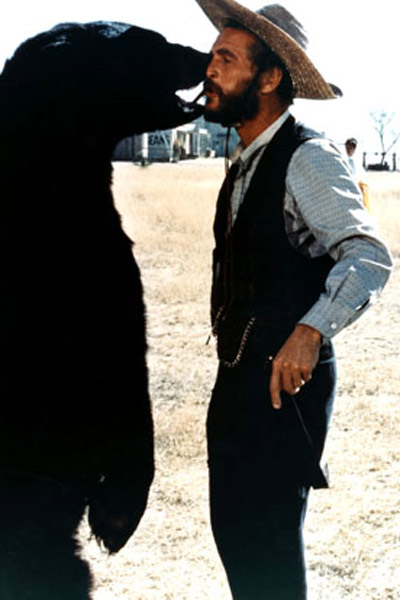 Fotoğraf Paul Newman, John Huston