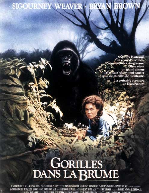 Gorillas In the Mist : The Story of Dian Fossey : Fotoğraf Michael Apted