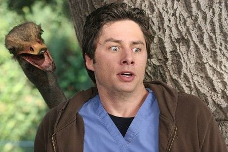 Fotoğraf Zach Braff