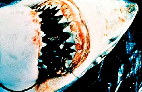 Jaws : Fotoğraf Steven Spielberg