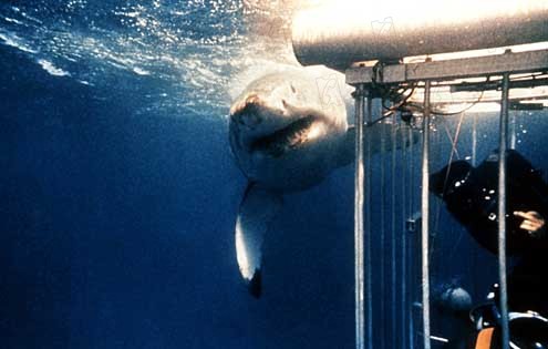 Jaws : Fotoğraf Steven Spielberg