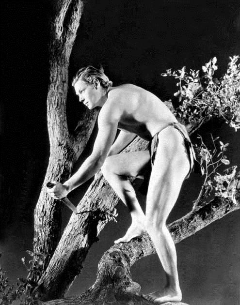 Tarzan the Ape Man : Fotoğraf W.S. Van Dyke