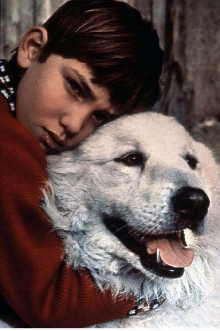 Belle et Sébastien : Fotoğraf