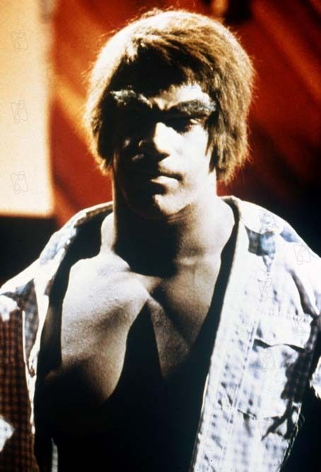 Fotoğraf Lou Ferrigno