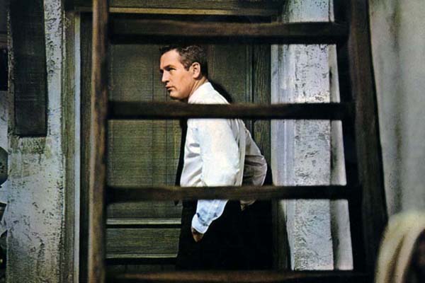 Torn Curtain : Fotoğraf Alfred Hitchcock, Paul Newman