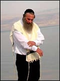 Afiş Assi Dayan