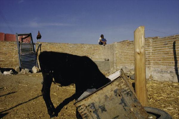 Fotoğraf Jean-Pierre Duret