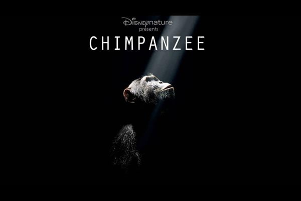 Chimpanzee : Fotoğraf Mark Linfield, Alastair Fothergill