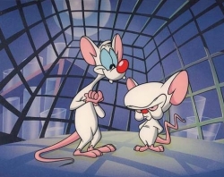 Pinky and the Brain : Afiş