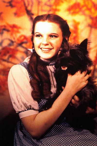 Oz Büyücüsü : Fotoğraf Judy Garland, Victor Fleming