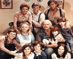 The Waltons : Afiş