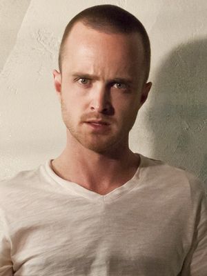 Afiş Aaron Paul