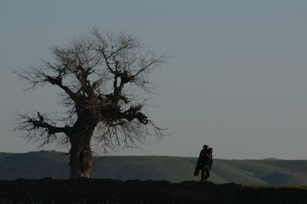 Fotoğraf Samira Makhmalbaf