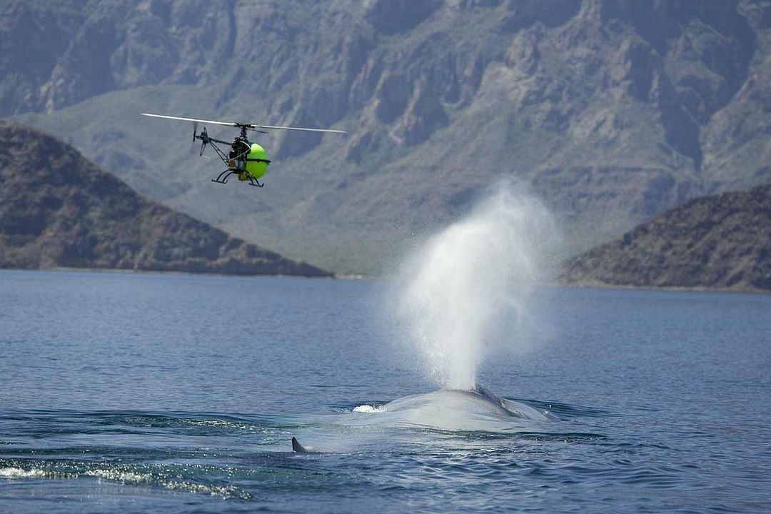 Océans : Fotoğraf
