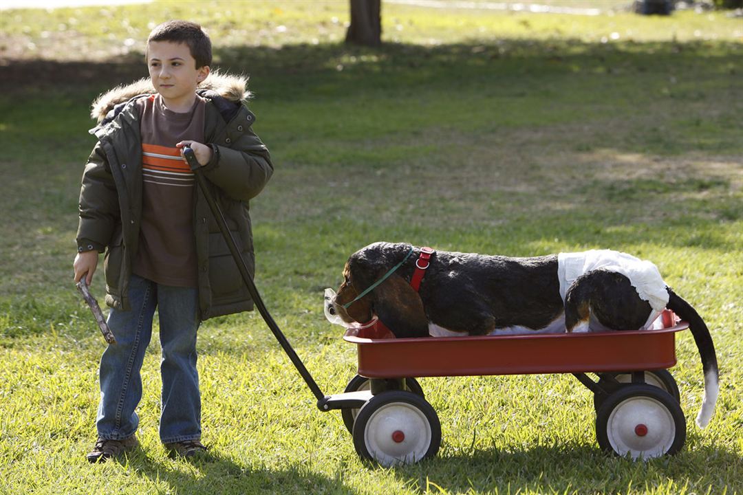 Fotoğraf Atticus Shaffer