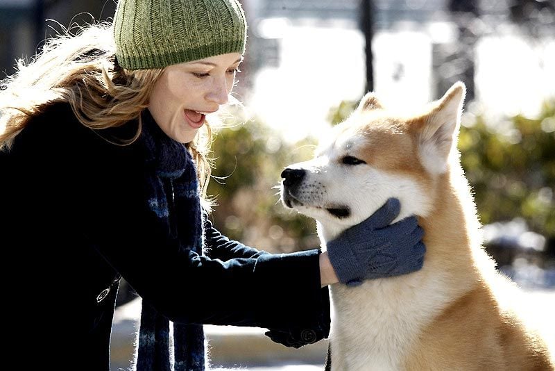 Hachi: A Dog’s Tale : Fotoğraf