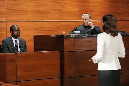 The Good Wife : Fotoğraf Harvey Fierstein, Julianna Margulies