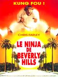 Beverly Hills Ninja : Afiş