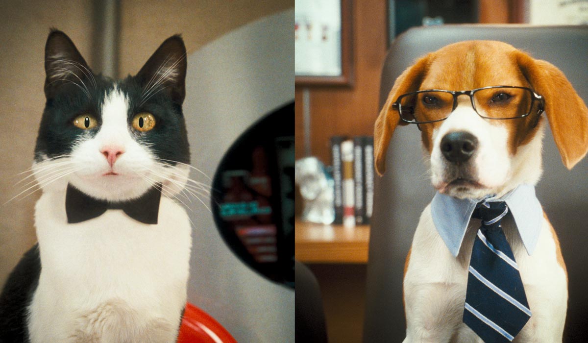 Kediler ve Köpekler Kitty Galore’un İntikamı : Fotoğraf Brad Peyton, Kevin Lima