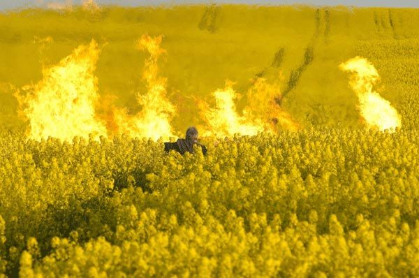 Wallander : Fotoğraf