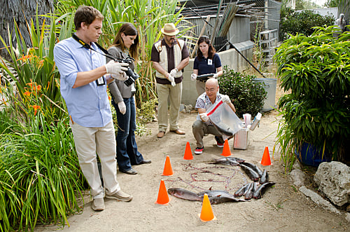 Dexter : Fotoğraf David Zayas, C.S. Lee, Jennifer Carpenter, Michael C. Hall