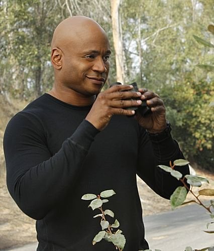 NCIS: Los Angeles : Fotoğraf LL Cool J