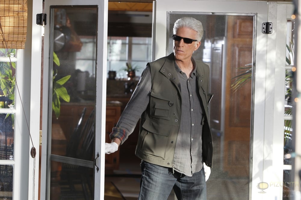 CSI: Crime Scene Investigation : Fotoğraf Ted Danson