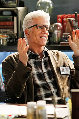 CSI: Crime Scene Investigation : Fotoğraf Ted Danson