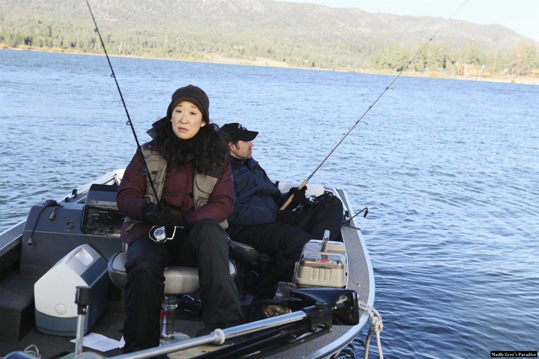 Fotoğraf Patrick Dempsey, Sandra Oh