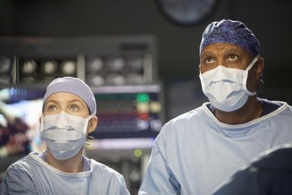 Grey's Anatomy : Fotoğraf James Pickens Jr., Ellen Pompeo