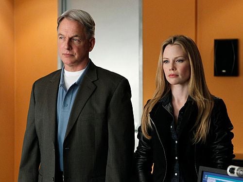 NCIS : Fotoğraf Mark Harmon