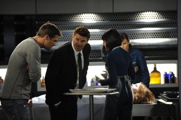 Bones : Fotoğraf Geoff Stults, Tamara Taylor, David Boreanaz, Emily Deschanel