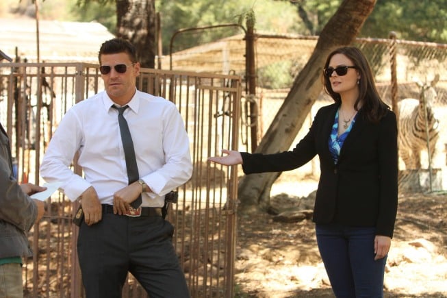 Bones : Fotoğraf David Boreanaz, Emily Deschanel