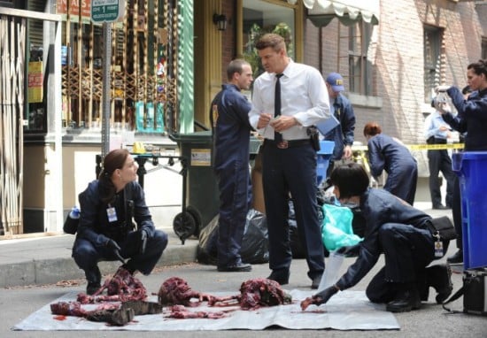 Bones : Fotoğraf Tamara Taylor, David Boreanaz, Emily Deschanel