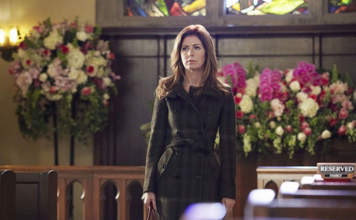 Body Of Proof : Fotoğraf Dana Delany