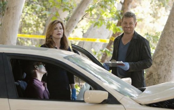 Body Of Proof : Fotoğraf Dana Delany, Nicholas Bishop