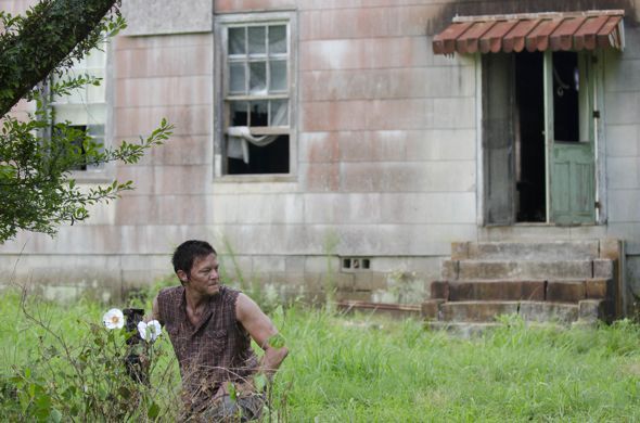 The Walking Dead : Fotoğraf Norman Reedus