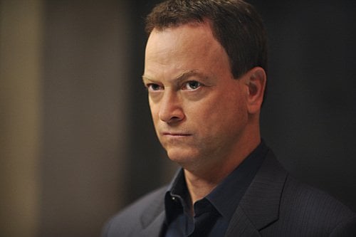 CSI: New York : Fotoğraf Gary Sinise