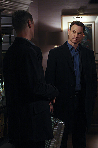 CSI: New York : Fotoğraf Gary Sinise