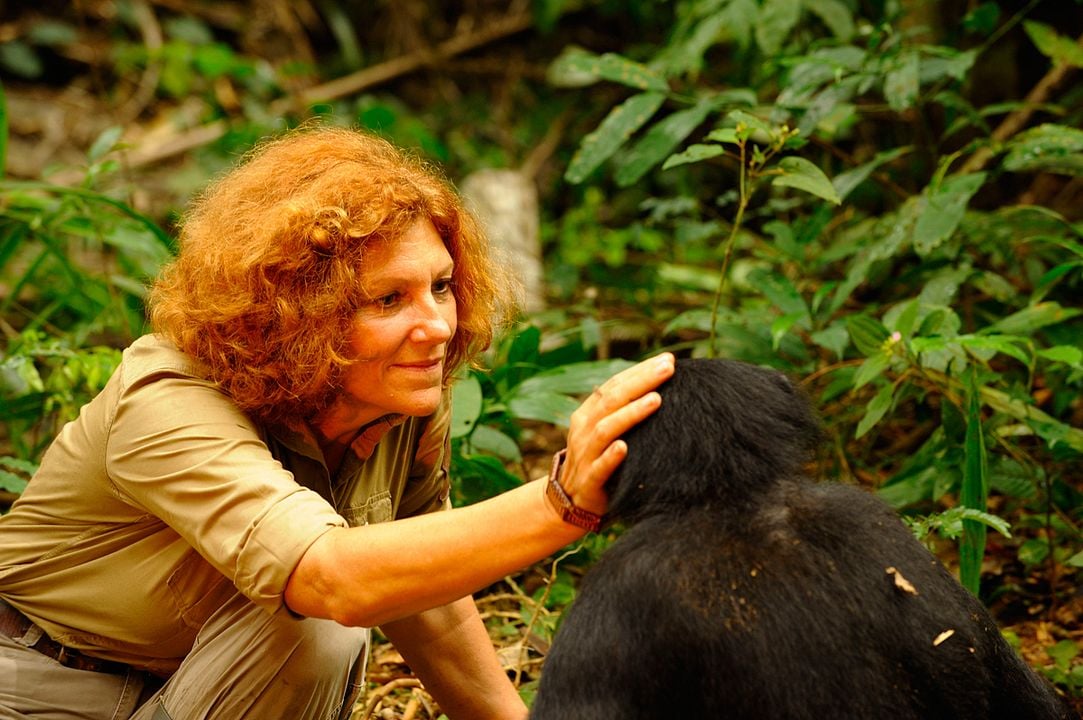 Fotoğraf Claudine André