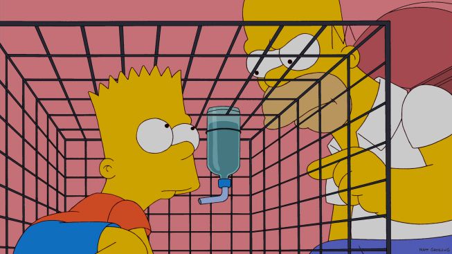 The Simpsons : Fotoğraf
