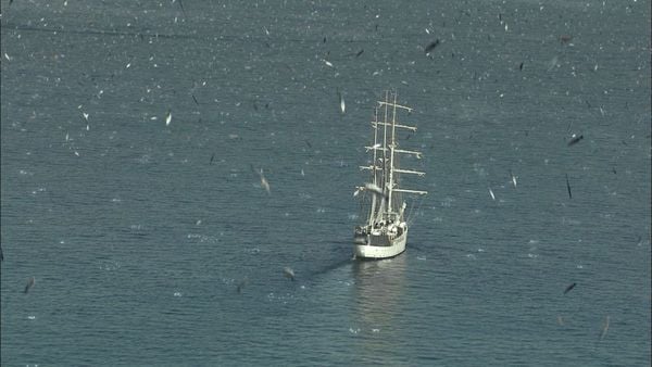 El barco : Fotoğraf