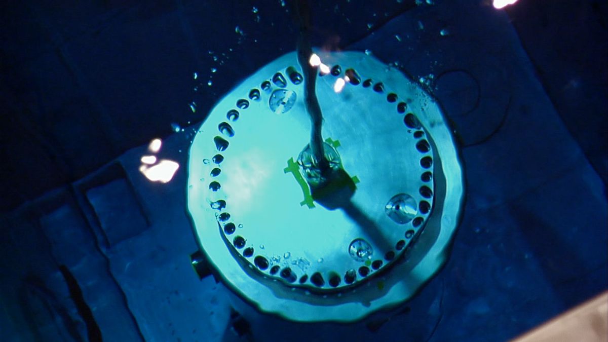 Fotoğraf Michael Madsen (II)