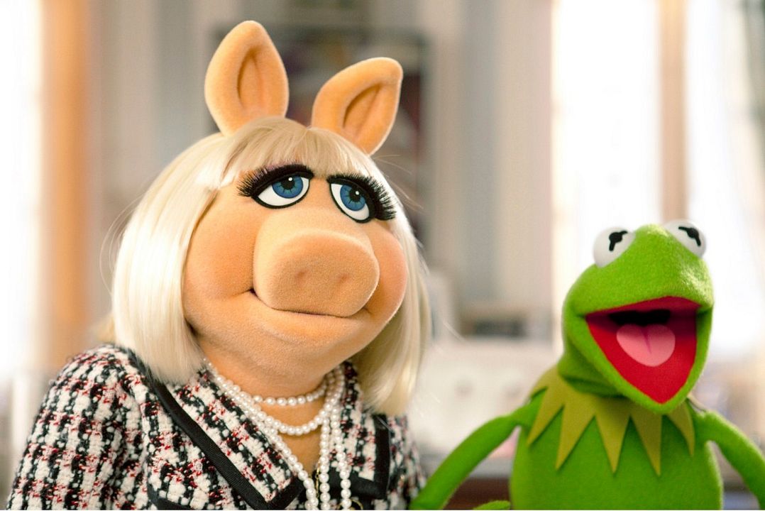 The Muppets : Fotoğraf