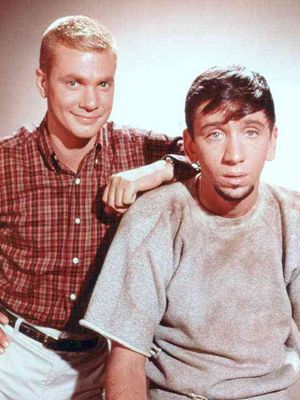 The Many Loves of Dobie Gillis : Afiş