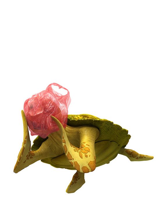 Sevimli Balık Pupi : Fotoğraf