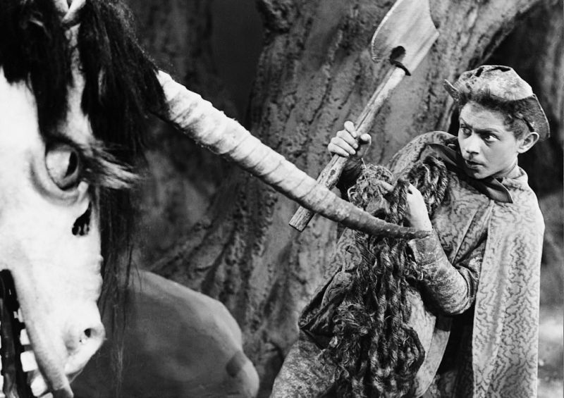 Fotoğraf Kurt Schmidtchen