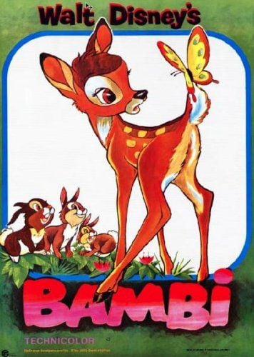 Bambi : Fotoğraf